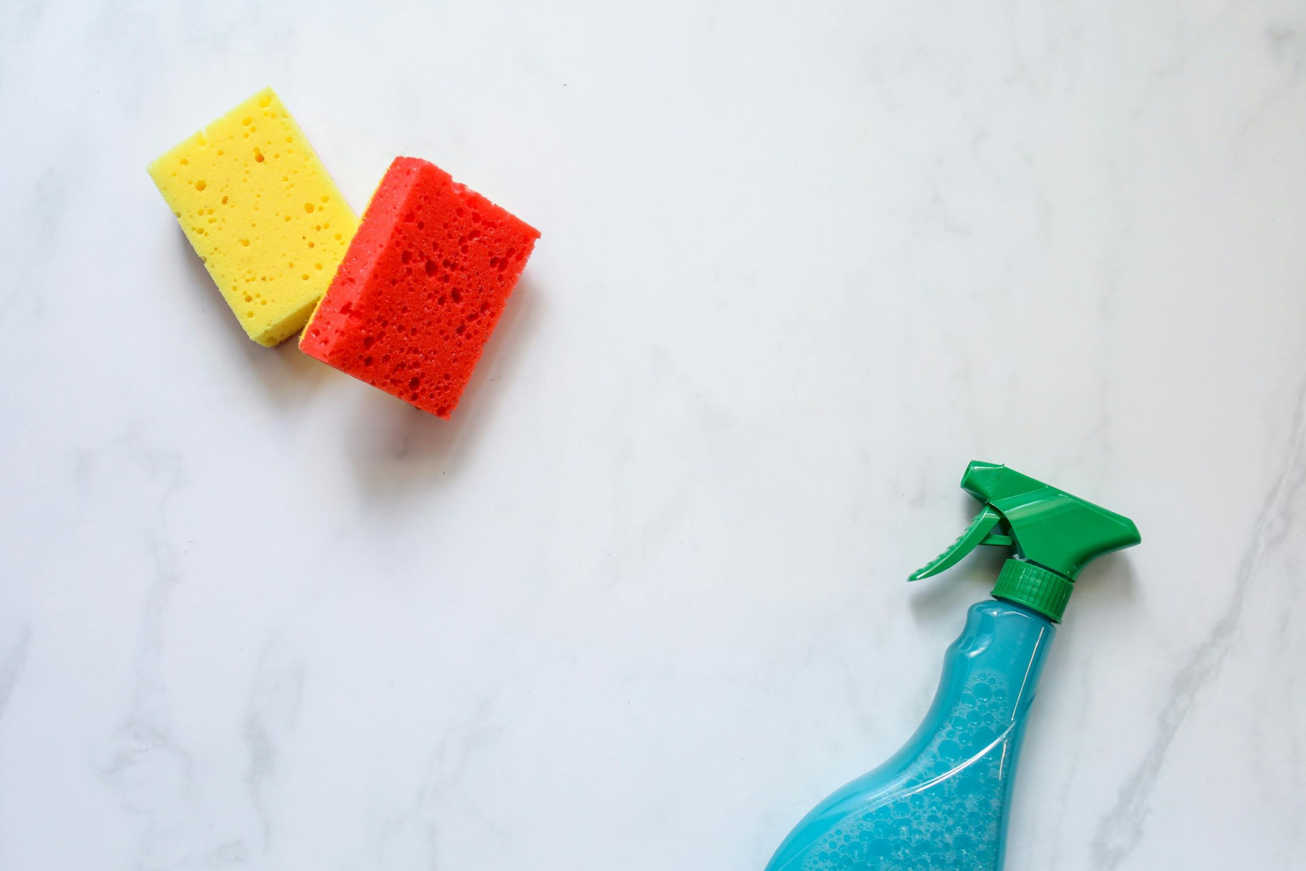 cleaning solution and two sponges